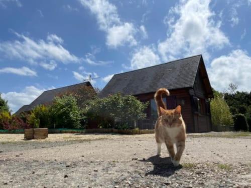 Gites Les Rainettes Vienne-en-Bessin Exteriér fotografie