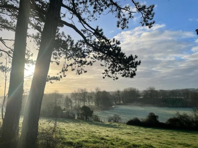 Gites Les Rainettes Vienne-en-Bessin Exteriér fotografie