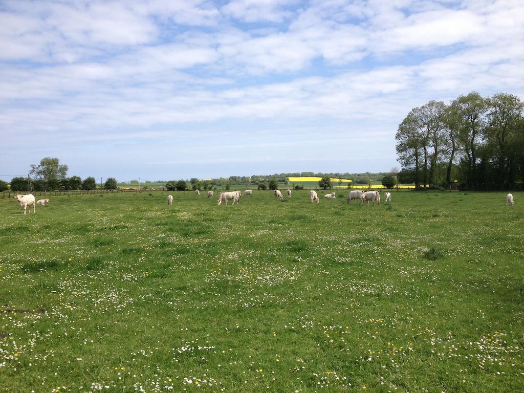 Gites Les Rainettes Vienne-en-Bessin Exteriér fotografie
